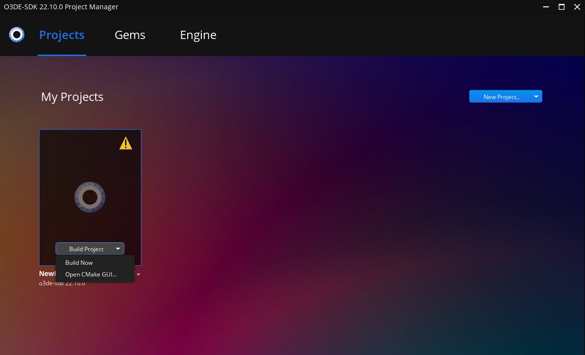 Project Manager Project Options